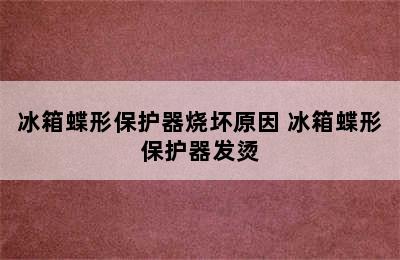 冰箱蝶形保护器烧坏原因 冰箱蝶形保护器发烫